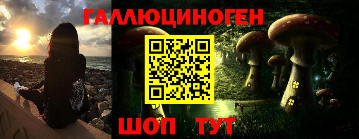 Псилоцибиновые грибы мухоморы  наркотики  Спасск-Дальний  Вход с VPN 